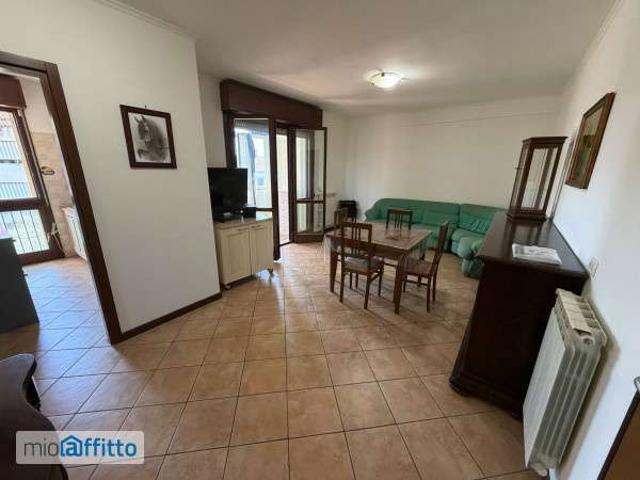 Appartamento arredato con terrazzo Trieste, salario