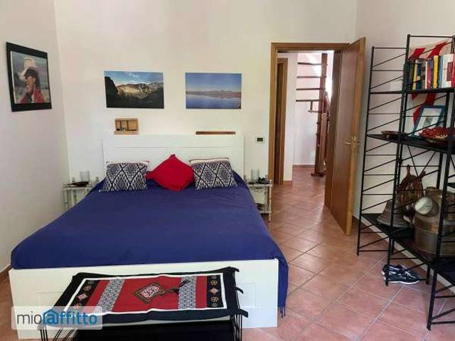 Appartamento arredato con terrazzo Vada