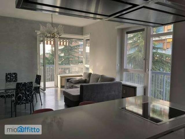 Appartamento arredato con terrazzo Vanchiglia
