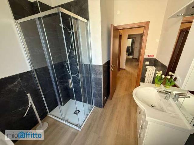 Appartamento arredato con terrazzo Venezia