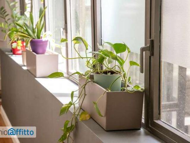 Appartamento arredato Centro storico