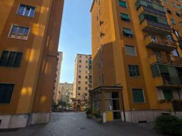 Appartamento arredato Città studi, lambrate, udine, loreto