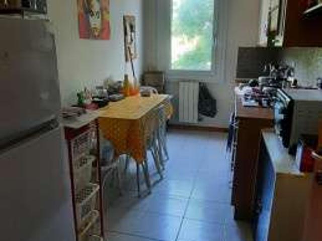 Appartamento arredato Bolognina