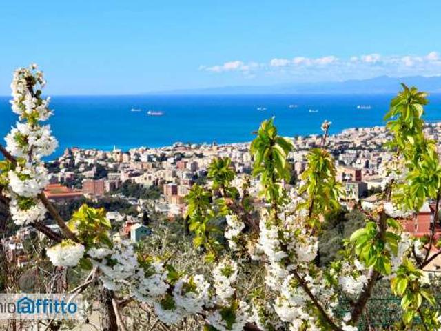 Appartamento arredato Genova