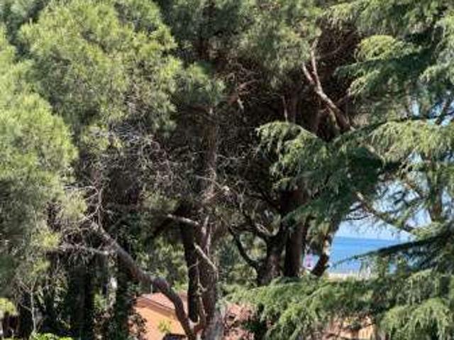 Appartamento arredato Lido di spina