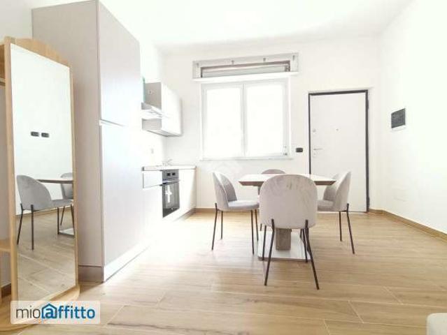 Appartamento arredato Mirafiori sud