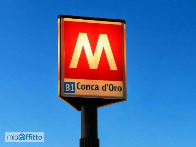 Appartamento arredato Nuovo salario, prati fiscali, monte sacro, talenti, vigne nuove, serpentara