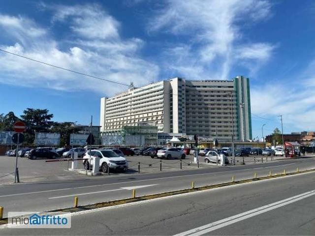 Appartamento arredato Saffi