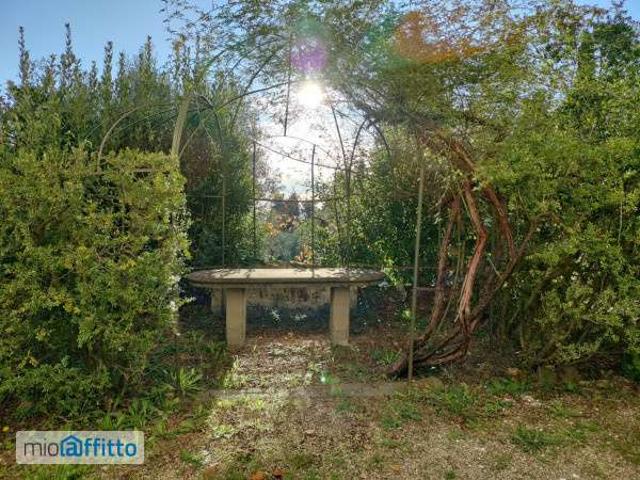 Appartamento arredato Rifredi