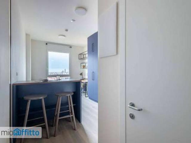 Appartamento arredata con terrazzo Bolognina