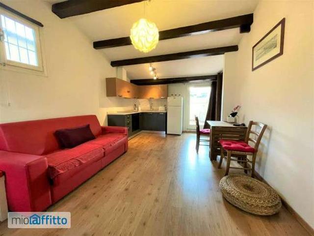 Appartamento arredata con terrazzo Campo di marte