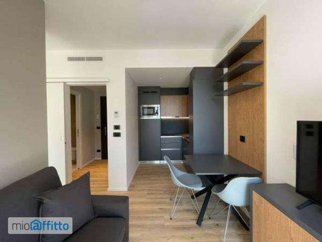 Appartamento arredata Greco, monza, palmanova, bicocca