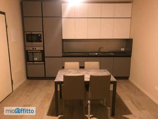Appartamento arredata Flero