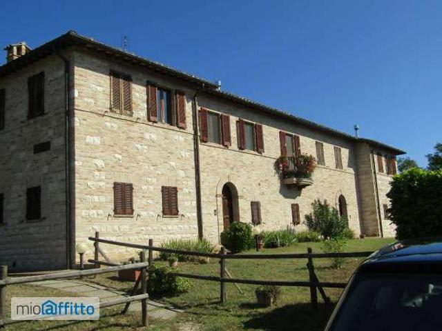 Appartamento arredato Urbino