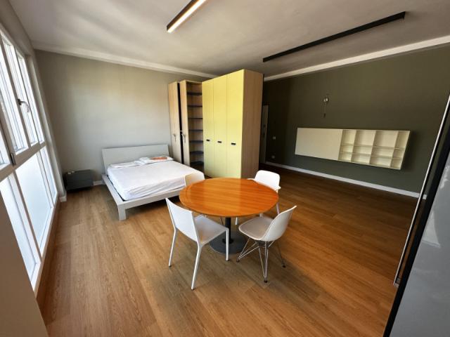 Appartamento BILOCALE in affitto a Oppeano Vr