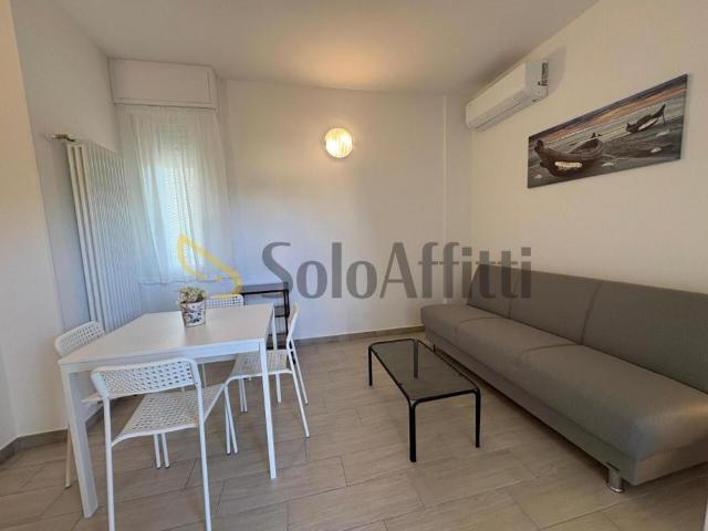 Appartamento BILOCALE in affitto a Rimini Rn