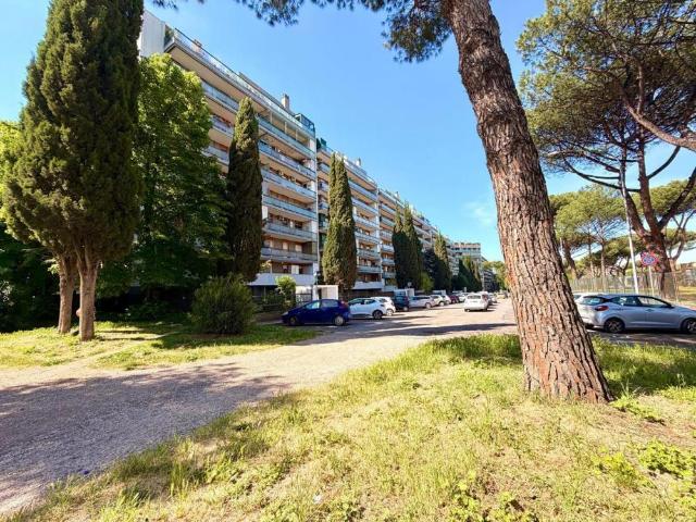Appartamento BILOCALE in affitto a Roma Rm