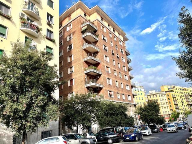 Appartamento BILOCALE in affitto a Roma Rm
