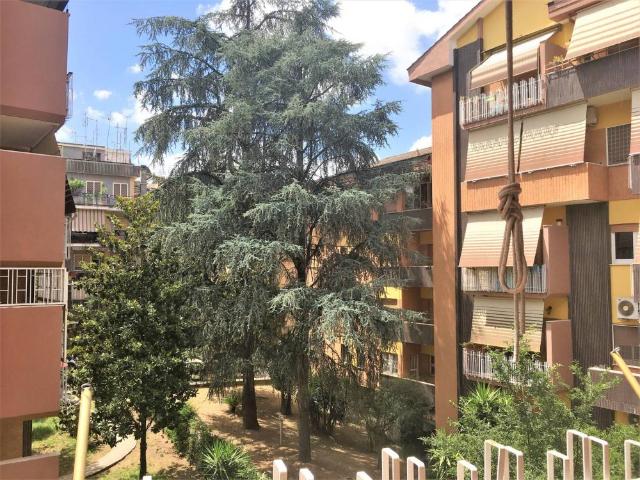 Appartamento BILOCALE in affitto a Roma Rm