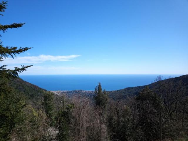 Appartamento BILOCALE in affitto a Sanremo Im