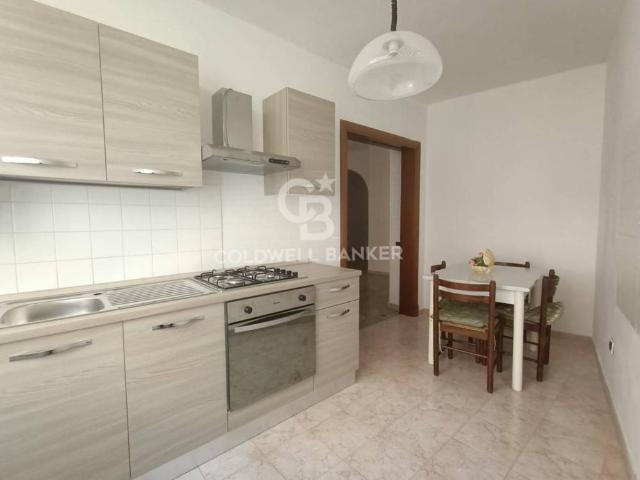 Appartamento BILOCALE in affitto a Viterbo Vt