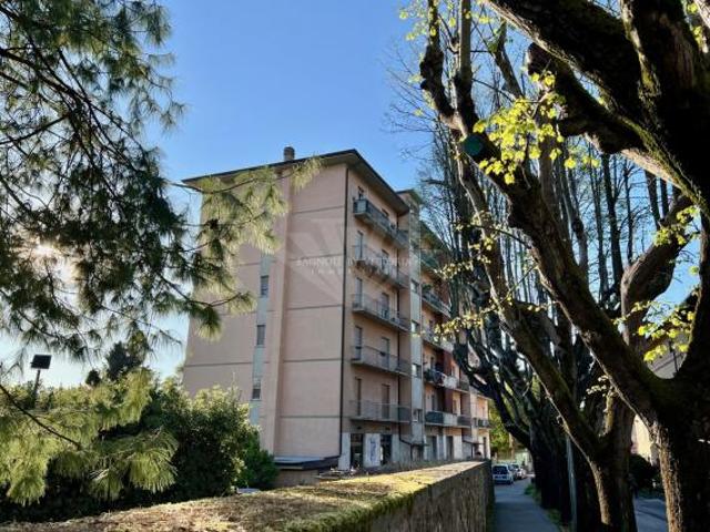 APPARTAMENTO di 7 vani e di 133 mq PIETRASANTA Pietrasanta rif. 604/VE