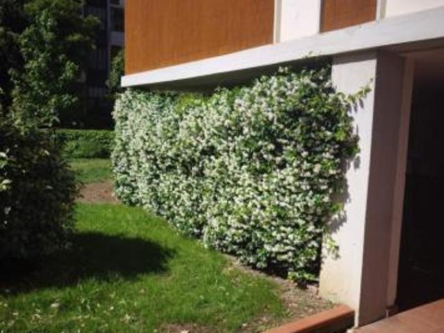 APPARTAMENTO di 5 vani e di 115 mq FIRENZE rif. AAJ351