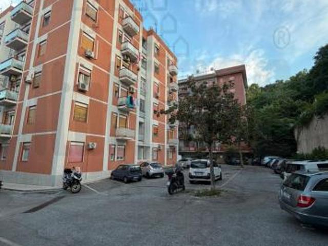 APPARTAMENTO di 5 vani e di 135 mq MESSINA rif. 3VS18235