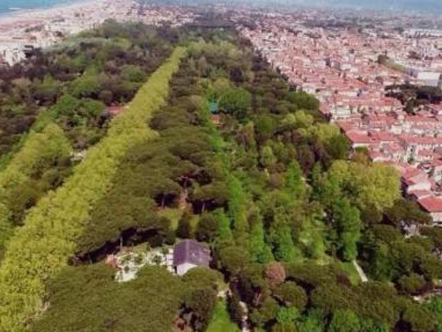 APPARTAMENTO di 6 vani e di 145 mq VIAREGGIO zona Don Bosco rif. A1007