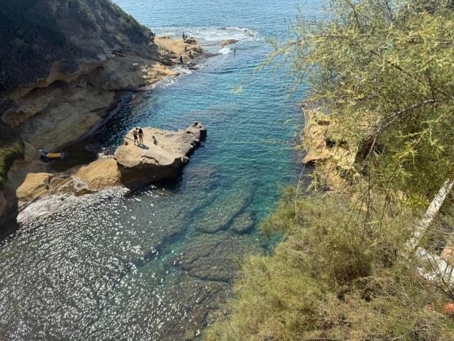 Appartamento di lusso in affitto Via Franco Alfano, Napoli, Campania