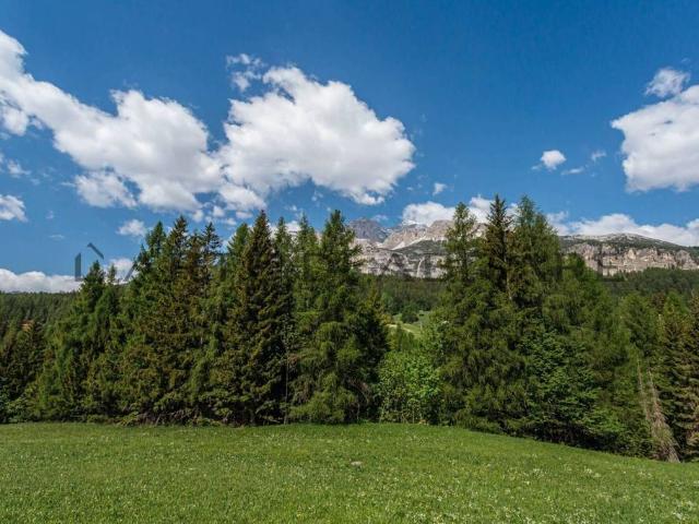 Appartamento di prestigio in vendita Via Faloria, Cortina d'Ampezzo, Belluno, Veneto