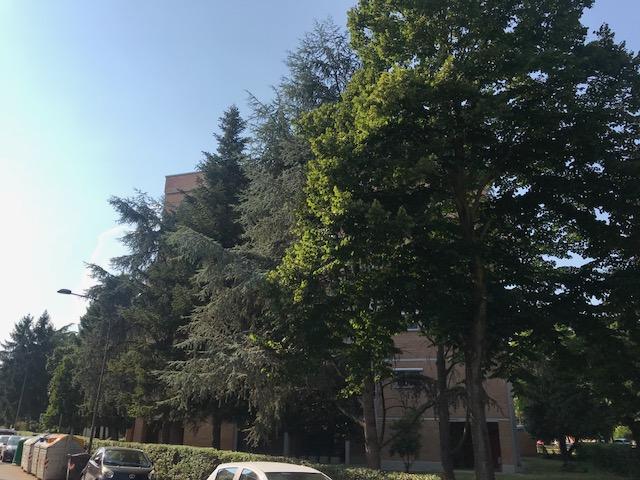 appartamento in condominio in affitto a Ferrara