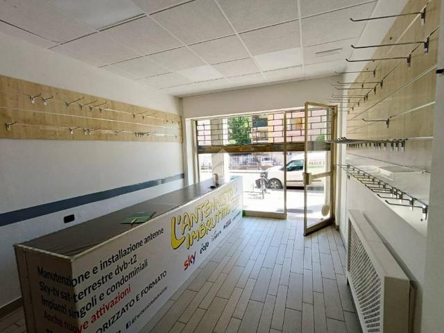 Appartamento in affitto a Mantova MN