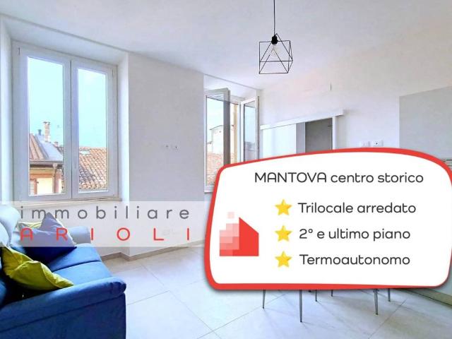 Appartamento in affitto a Mantova vicolo Prato, arredato, riscaldamento autonomo, ultimo piano TrovaCasa