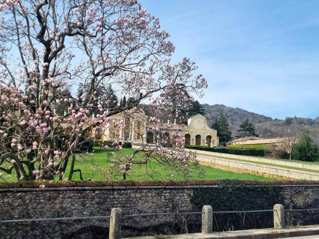 Appartamento in affitto a Maser TV