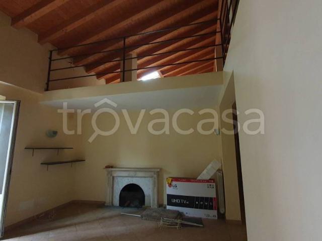 Appartamento in affitto a Massa, Centro città
