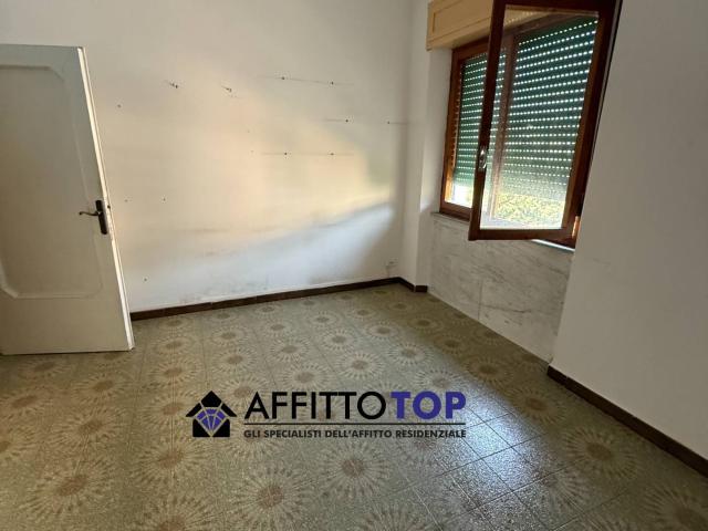 Appartamento in Affitto a Massa