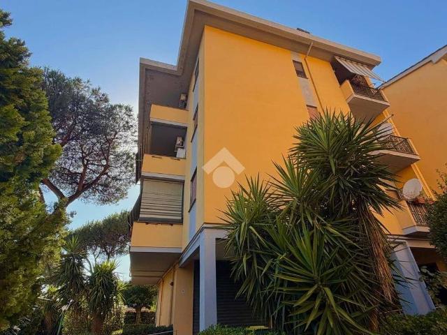 Appartamento in affitto a Marino RM
