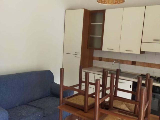 Appartamento in affitto a Marino RM