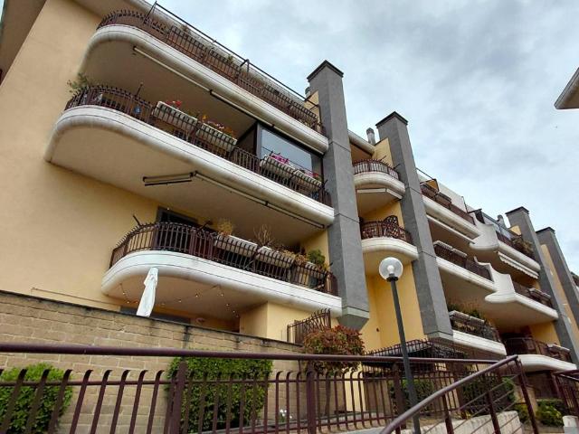 Appartamento in affitto a Marino RM