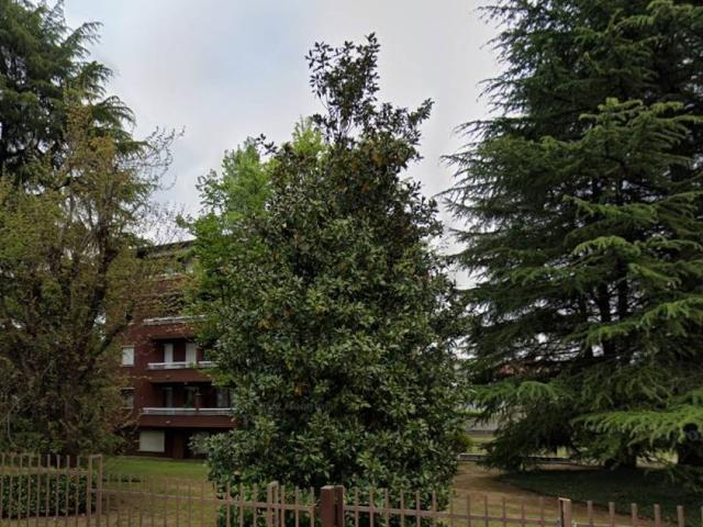 Appartamento in affitto a Meda MB