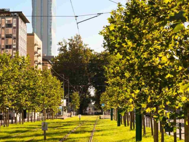 Appartamento in affitto a Milano