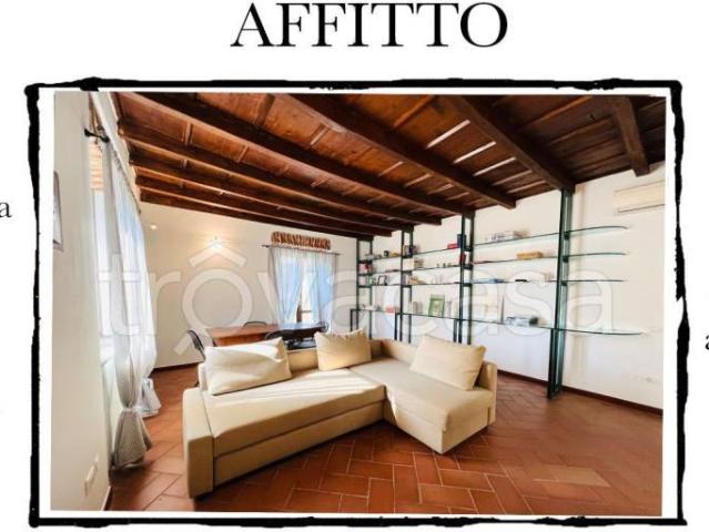 Appartamento in affitto a Milano via Cardinale Ascanio Sforza, 57, arredato, giardino, box TrovaCasa