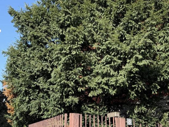 Appartamento in affitto a Milano via Andrea Maffei, 10, arredato, ascensore, vicinanze negozi TrovaCasa