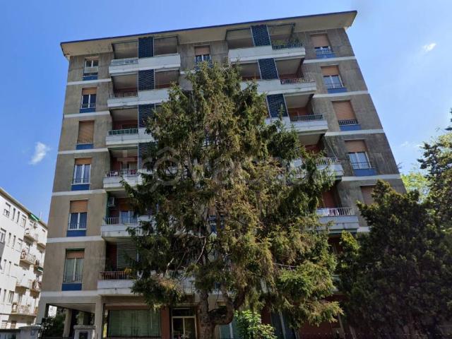 Appartamento in affitto a Milano via Benozzo Gozzoli, 4, ascensore, luminoso, balcone TrovaCasa