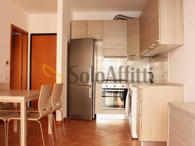 Appartamento in affitto a Milano via Francesco Gonin, 25 a, arredato, giardino, terrazzo TrovaCasa