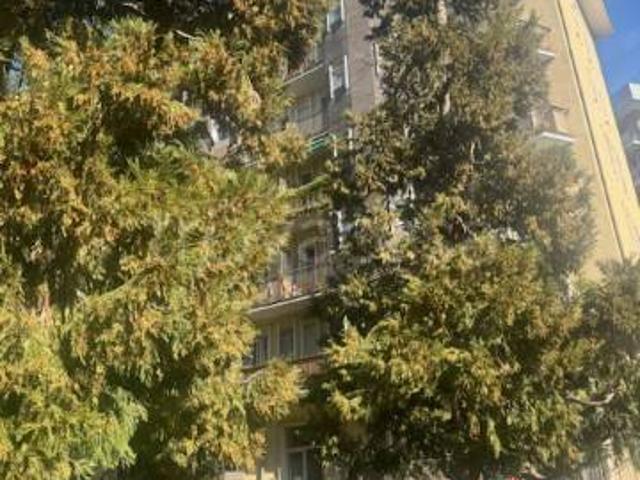 Appartamento in affitto a Milano via Lanfranco della Pila, 35, arredato, doppia esposizione, riscaldamento centralizzato TrovaCasa