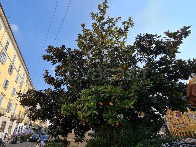 Appartamento in affitto a Milano via Paolo Frisi, 1, arredato, travi a vista, ascensore TrovaCasa