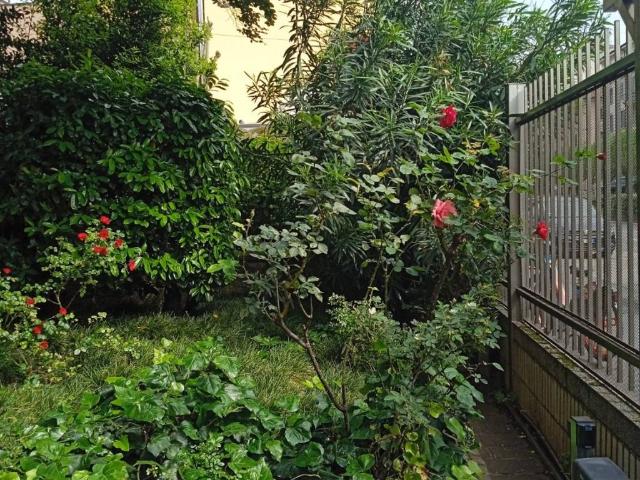 Appartamento in affitto a Milano MI