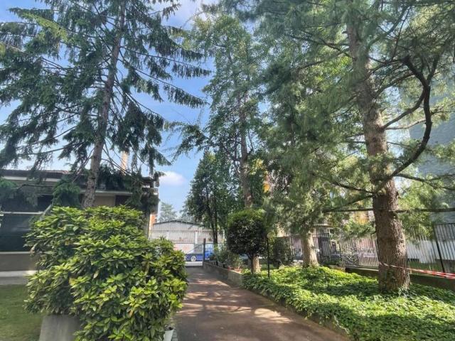 Appartamento in affitto a Milano MI